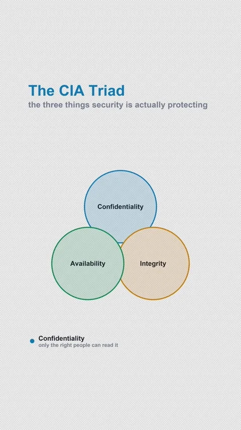 The CIA Triad Labeled Security Concept Diagram Alpha 4K Vertical 9x16 Light Stock Footage 339645466