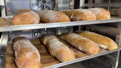 Ciabatta bread baked in oven Stock-Footage 311792991