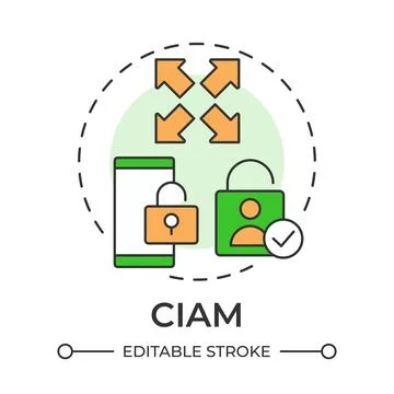 CIAM multi color concept icon Stock Illustration