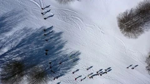 Ciaspolata2 Stock-Footage 148958629