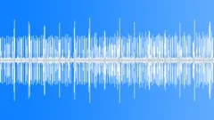 Cicada 0001 LoopSound Effect
