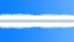Cicada Ambience Sound Effect