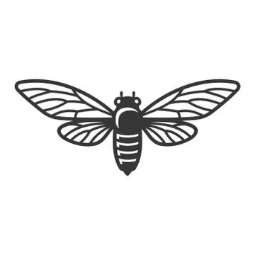 Cicada Beetle Insect on White Background. Stock Illustration