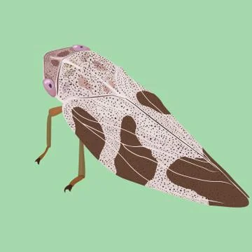 Cicada on green background.vector illustration Illustrazione stock