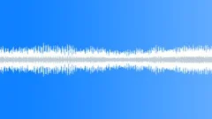 Cicada Song and Crickets 3 Sound Effect