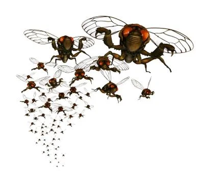 Cicada Swarm Stock Illustration