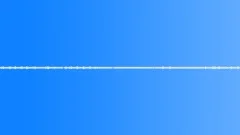 Cicadas 2 loop Sound Effect