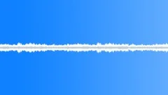 Cicadas ambience 02 loopSound Effect