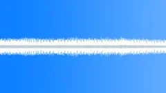 Cicadas in a hot summer day Sound Effect