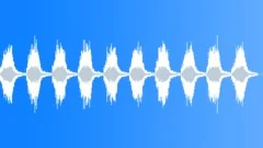 Cicadas Morning 1Sound Effect