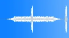 Cicadas Sound Effect
