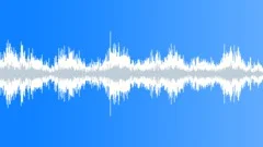Cicadas Suburbia Loop 02 Sound Effect