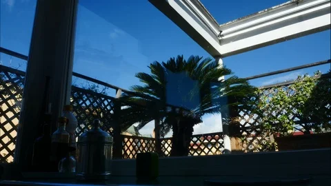 Cicas through window fast cloud on the back Cycas revoluta timelapse 스톡 동영상 101845610