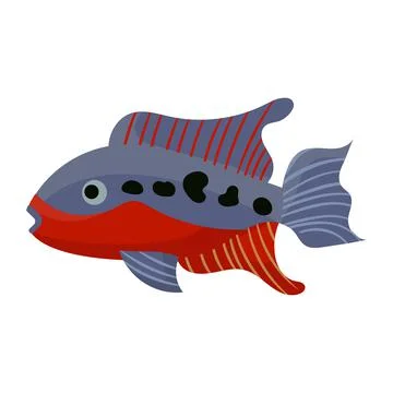 Cichlasoma fish aquarium water animal nature and vector underwater aquatic  ar ~ Clip Art #201296731