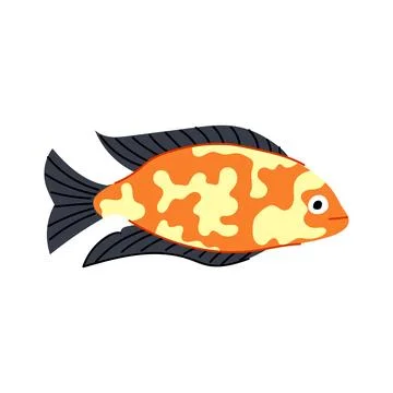 Cichlid decorative fish cartoon vector illustration Stock Illustration