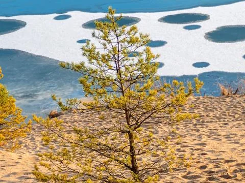 Cicles on ice Stock Photos