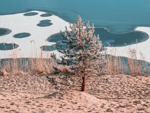 Cicles on ice Stock Photos