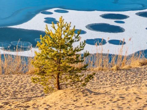 Cicles on ice Stock Photos