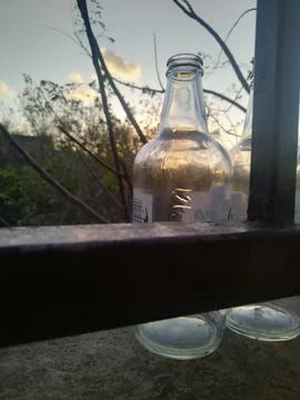 Cider bottles with a sunset background Stock Photos