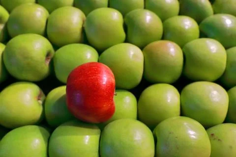 Cider king Stock Photos