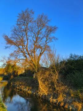 Ciel Bleuté Stock Photos