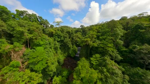 Cienamtic FPV flight over river and waterfall in the lush jungle in Thailand. Stock Footage 279215830