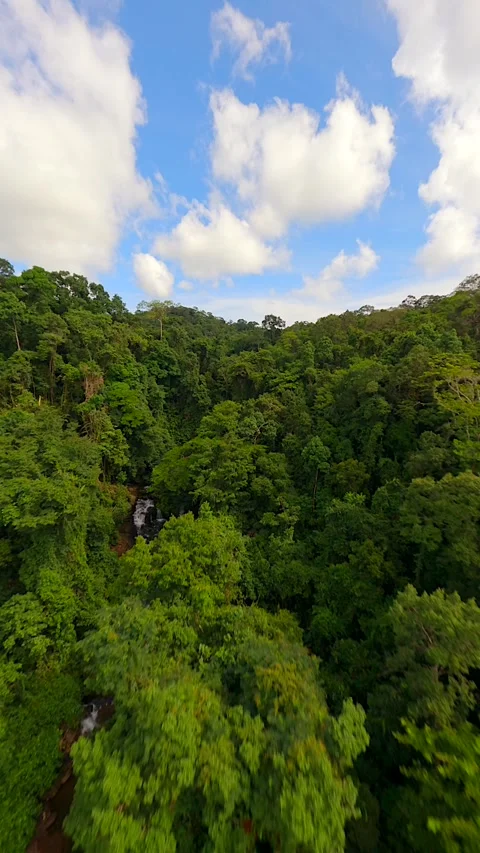 Cienamtic FPV flight over river and waterfall in the lush jungle in Thailand. Stock Footage 279215848