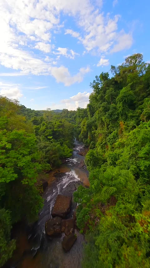 Cienamtic FPV flight over tropical river in the lush rainforest in Thailand. Stock Footage 277959752