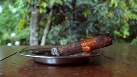 Cigar and Smoke Stock Footage 121518692