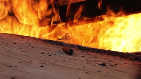 Cigar with Fire Stock Footage 147628892
