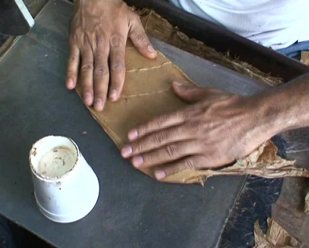 CIGAR Stock Footage 268039