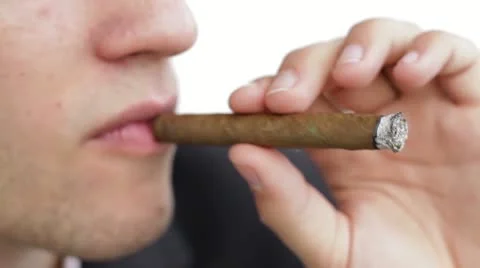 Cigar Stock Footage 12136641