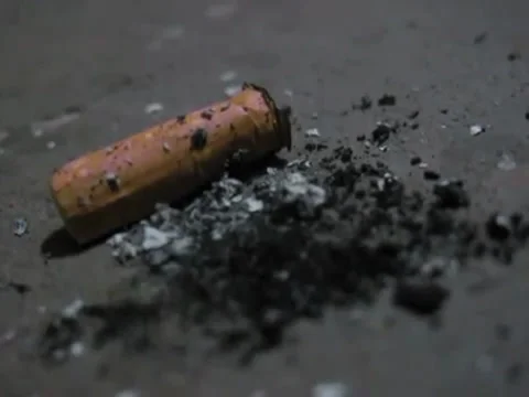 Cigar on the ground/ cigarrete Stock Footage 34500966