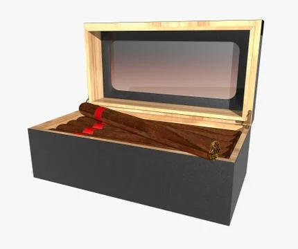 Cigar Humidor Stock Illustration