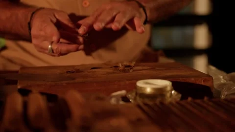 Cigar Maker Crafts a Hand Rolled Cuban Cigar in a Lounge Cutting Tobacco Leaves Stock Footage 288038848
