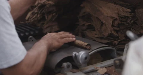 Cigar maker rolling a high end cigar Stock Footage 220568970