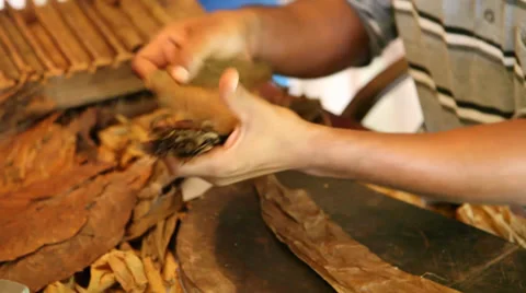 Cigar making Vídeos de archivo 35840886