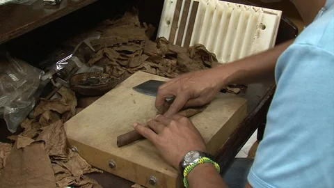 Cigar making Stock Footage 93705692
