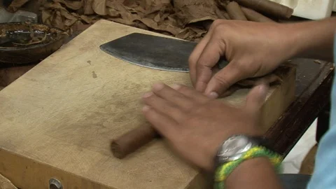 Cigar making by hand-closeup Stock Footage 93705713