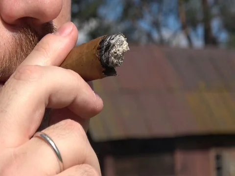 A cigar in a man's hand. Smoking a cigar. Stock Footage 76594989
