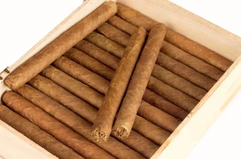Cigar Stock Photos