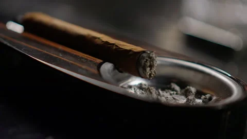 A cigar is placed in an expensive ashtray Stock Footage 254130926