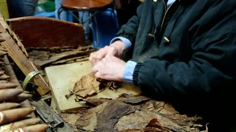 Cigar roller in Miami Stock Footage 21761433