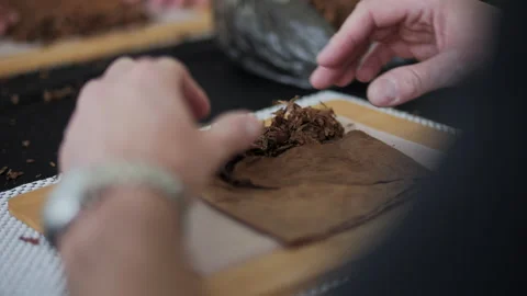 Cigar Rolling Demonstration During Hands-On Masterclass Stock Footage 316979353