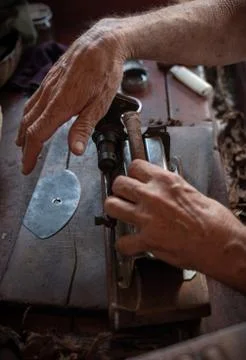 Cigar rolling or making by torcedor in cuba Stock Photos