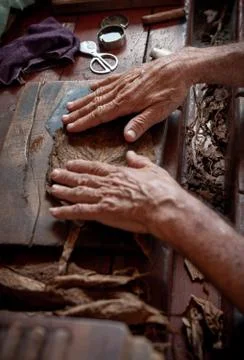 Cigar rolling or making by torcedor in cuba Foto stock