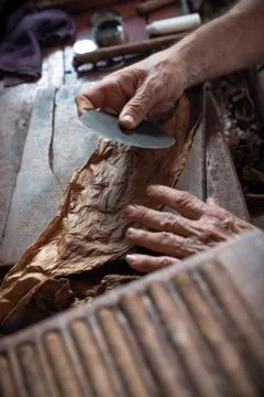 Cigar rolling or making by torcedor in cuba Stock Photos