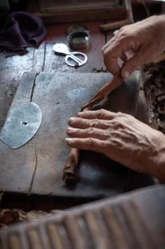 Cigar rolling or making by torcedor in cuba Stock Photos