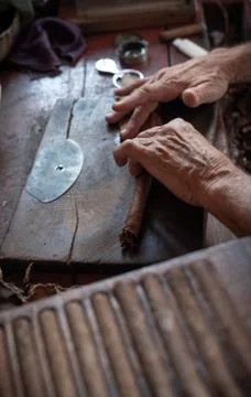Cigar rolling or making by torcedor in cuba Stock Photos