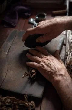 Cigar rolling or making by torcedor in cuba 스톡 사진